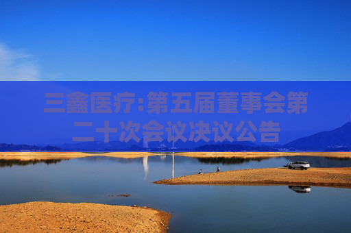 三鑫医疗:第五届董事会第二十次会议决议公告