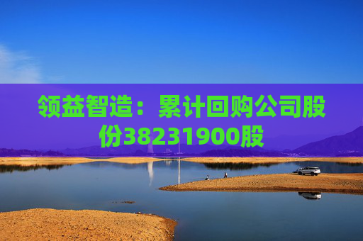 领益智造：累计回购公司股份38231900股