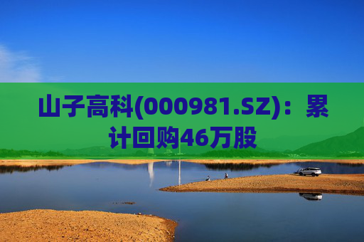 山子高科(000981.SZ)：累计回购46万股