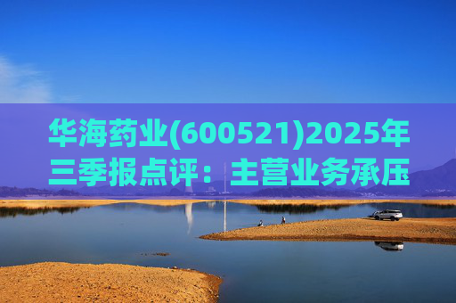 华海药业(600521)2025年三季报点评:主营业务承压 创新药研发进展显著 第1张 华海药业(600521)2025年三季报点评:主营业务承压 创新药研发进展显著 第1张