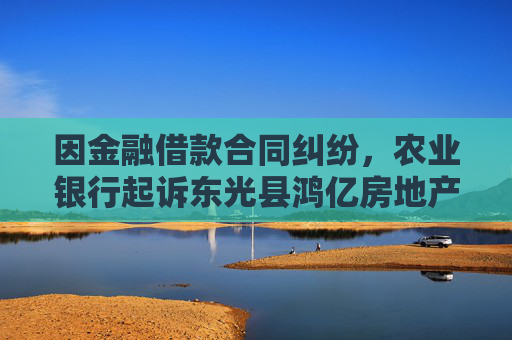 因金融借款合同纠纷，农业银行起诉东光县鸿亿房地产开发有限公司等  第1张