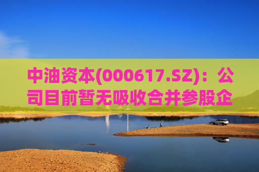 中油资本(000617.SZ)：公司目前暂无吸收合并参股企业昆仑资本的计划