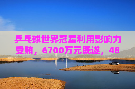 乒乓球世界冠军利用影响力受贿，6700万元既遂，4800万元未遂  第1张