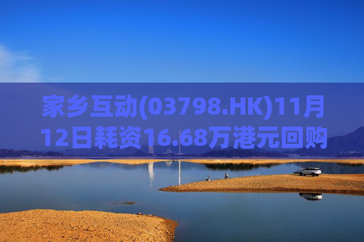 家乡互动(03798.HK)11月12日耗资16.68万港元回购11.8万股
