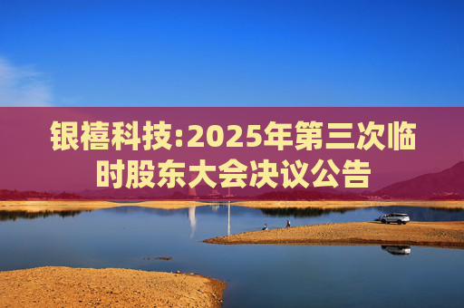 银禧科技:2025年第三次临时股东大会决议公告