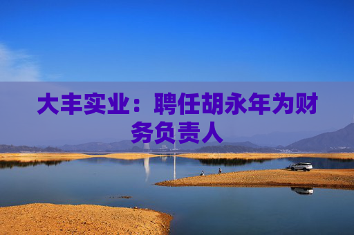 大丰实业：聘任胡永年为财务负责人