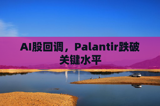 AI股回调，Palantir跌破关键水平