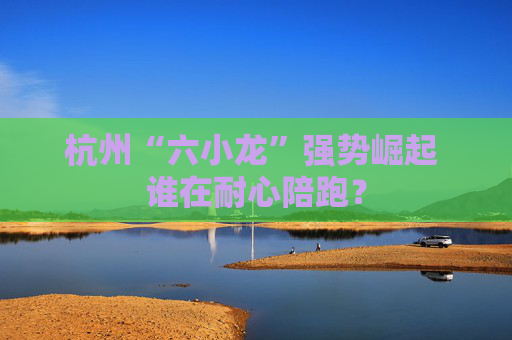 杭州“六小龙”强势崛起 谁在耐心陪跑? 第1张 杭州“六小龙”强势崛起 谁在耐心陪跑? 第1张