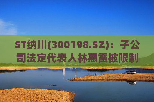 ST纳川(300198.SZ)：子公司法定代表人林惠霞被限制高消费  第1张