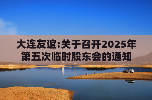 大连友谊:关于召开2025年第五次临时股东会的通知  第1张