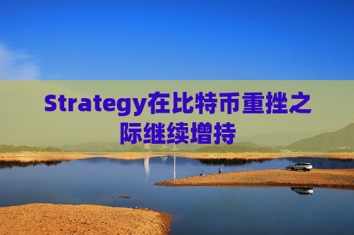 Strategy在比特币重挫之际继续增持  第1张