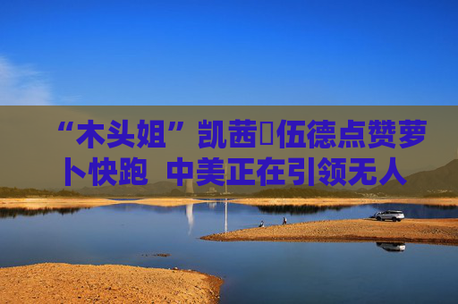 “木头姐”凯茜・伍德点赞萝卜快跑  中美正在引领无人驾驶的发展潮流