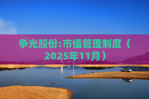 争光股份:市值管理制度（2025年11月）