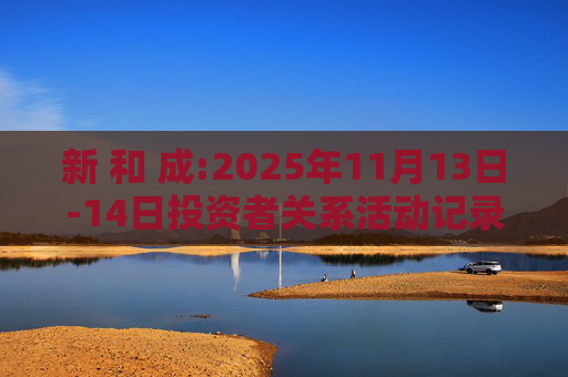 新 和 成:2025年11月13日-14日投资者关系活动记录表