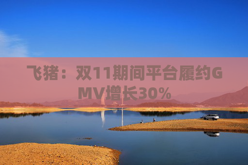 飞猪:双11期间平台履约GMV增长30% 第1张 飞猪:双11期间平台履约GMV增长30% 第1张