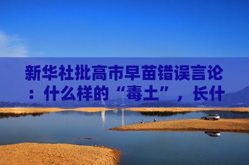 新华社批高市早苗错误言论:什么样的“毒土”,长什么样的“毒苗” 第1张 新华社批高市早苗错误言论:什么样的“毒土”,长什么样的“毒苗” 第1张
