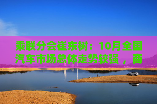 乘联分会崔东树：10月全国汽车市场总体走势较强 ，商用车市场现结构性增长  第1张