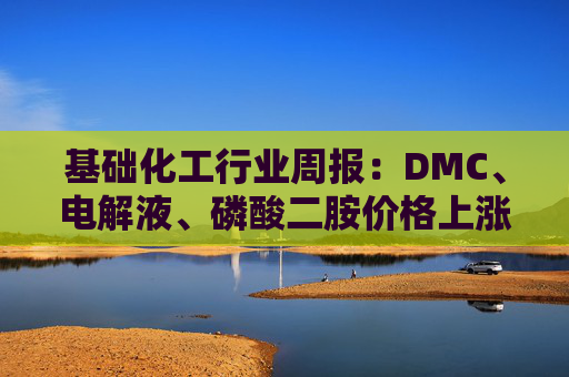 基础化工行业周报：DMC、电解液、磷酸二胺价格上涨 关注反内卷和铬盐  第1张