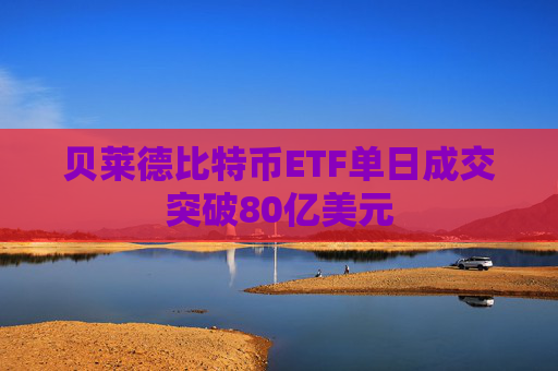 贝莱德比特币ETF单日成交突破80亿美元  第1张