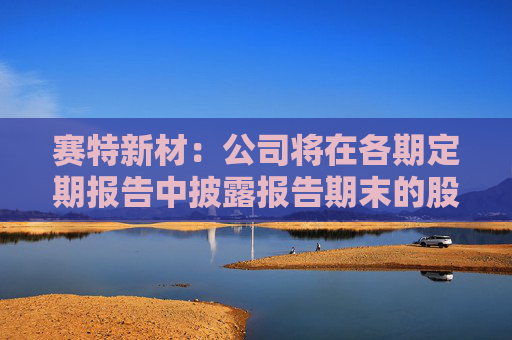 赛特新材：公司将在各期定期报告中披露报告期末的股东人数