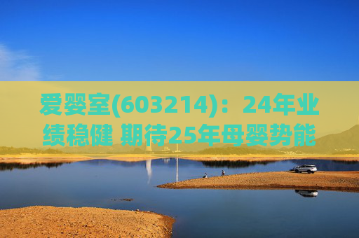 爱婴室(603214)：24年业绩稳健 期待25年母婴势能及万代门店加速  第1张