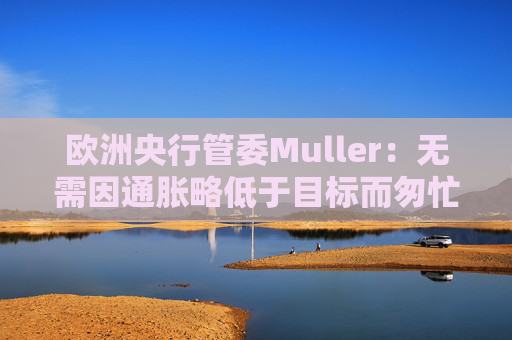 欧洲央行管委Muller：无需因通胀略低于目标而匆忙降息