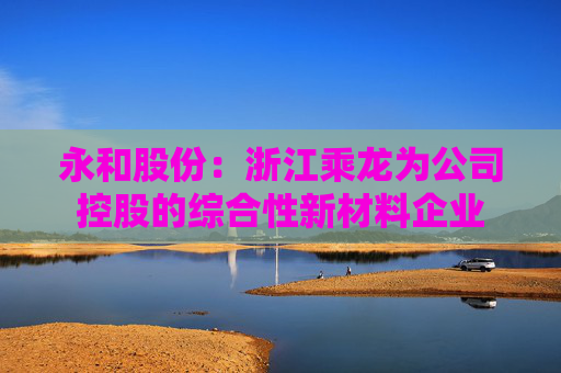 永和股份：浙江乘龙为公司控股的综合性新材料企业