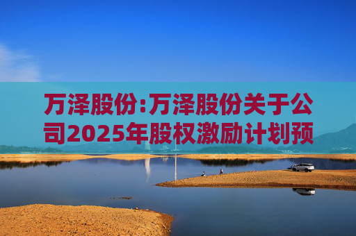 万泽股份:万泽股份关于公司2025年股权激励计划预留授予限制性股票登记完成的公告