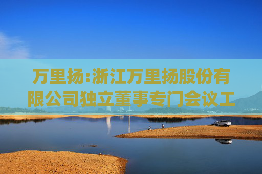 万里扬:浙江万里扬股份有限公司独立董事专门会议工作制度(2025年11月修订)