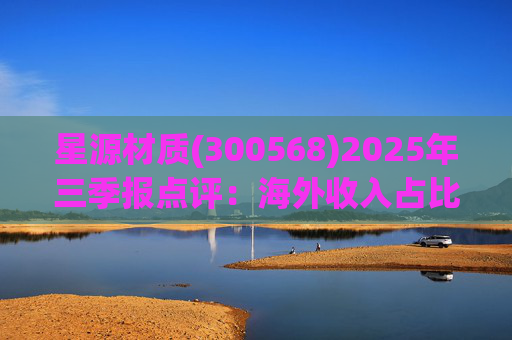 星源材质(300568)2025年三季报点评：海外收入占比提升 盈利水平改善