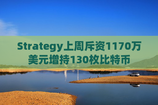 Strategy上周斥资1170万美元增持130枚比特币
