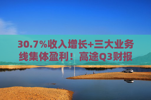 30.7%收入增长+三大业务线集体盈利！高途Q3财报提交出众成绩单