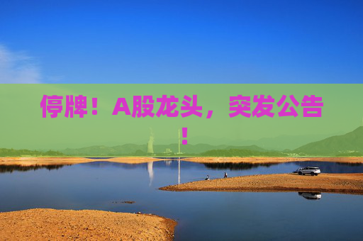 停牌！A股龙头，突发公告！