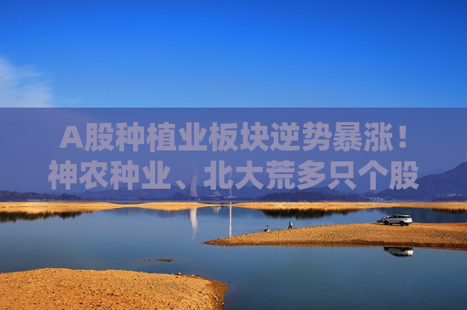 A股种植业板块逆势暴涨！神农种业、北大荒多只个股涨停，后市怎么走？
