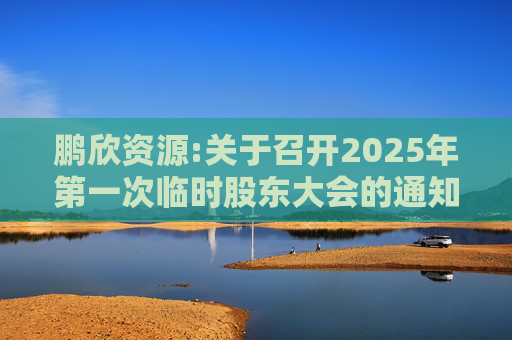 鹏欣资源:关于召开2025年第一次临时股东大会的通知  第1张