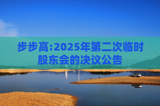 步步高:2025年第二次临时股东会的决议公告