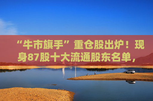 “牛市旗手”重仓股出炉！现身87股十大流通股东名单，新进46股  第1张