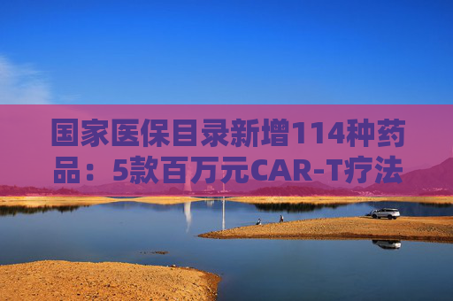国家医保目录新增114种药品：5款百万元CAR-T疗法纳入商保，企业代表直呼这是“重要里程碑”