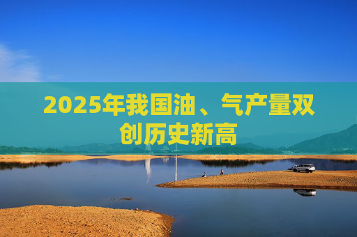 2025年我国油、气产量双创历史新高