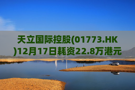 天立国际控股(01773.HK)12月17日耗资22.8万港元回购10万股