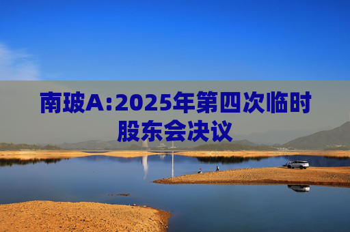 南玻A:2025年第四次临时股东会决议