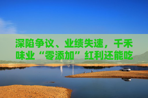 深陷争议、业绩失速,千禾味业“零添加”红利还能吃多久