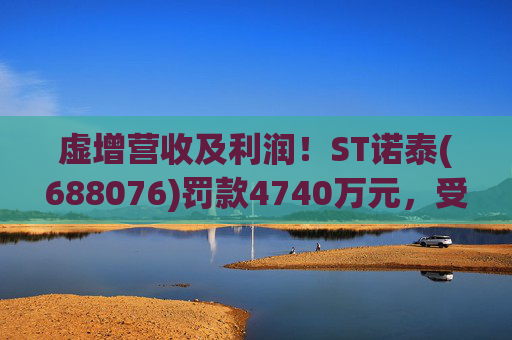 虚增营收及利润！ST诺泰(688076)罚款4740万元，受损投资者可索赔！