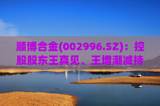顺博合金(002996.SZ):控股股东王真见、王增潮减持1371.88万股公司股份 第1张 顺博合金(002996.SZ):控股股东王真见、王增潮减持1371.88万股公司股份 第1张