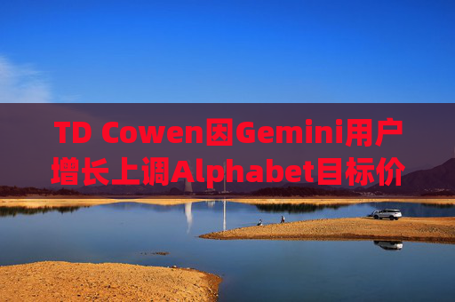 TD Cowen因Gemini用户增长上调Alphabet目标价