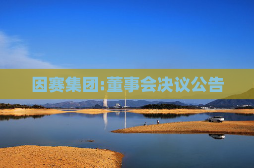 因赛集团:董事会决议公告  第1张
