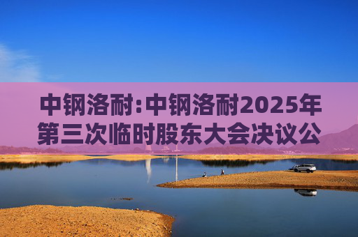 中钢洛耐:中钢洛耐2025年第三次临时股东大会决议公告