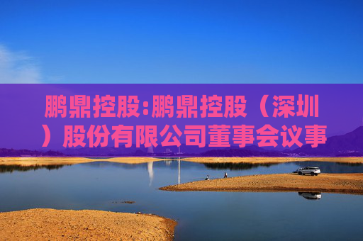 鹏鼎控股:鹏鼎控股（深圳）股份有限公司董事会议事规则（2025年4月）