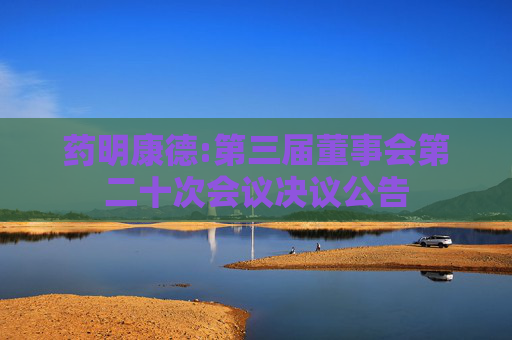 药明康德:第三届董事会第二十次会议决议公告