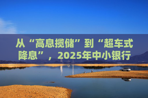 从“高息揽储”到“超车式降息”，2025年中小银行大幅下调存款利率｜2025中国经济年报